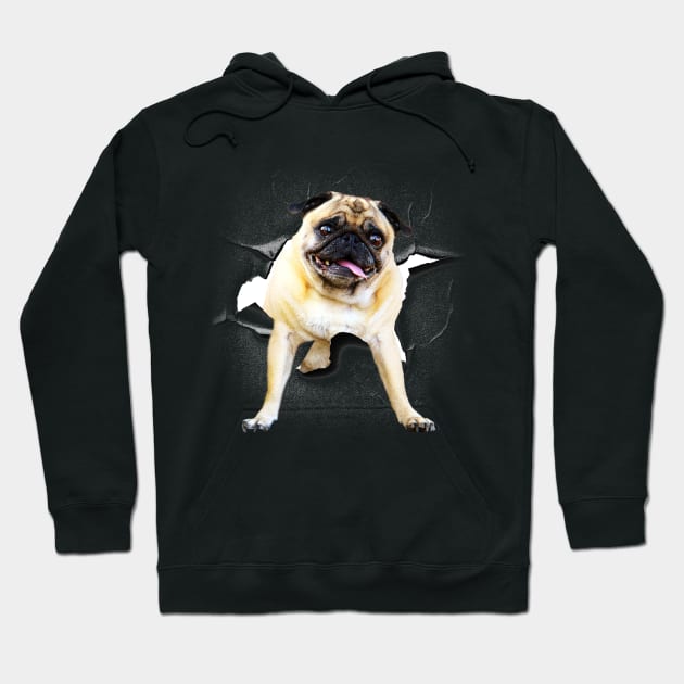 Funny Cute Pug Dog Poking Head, Cracked Wall Hoodie by Random Galaxy